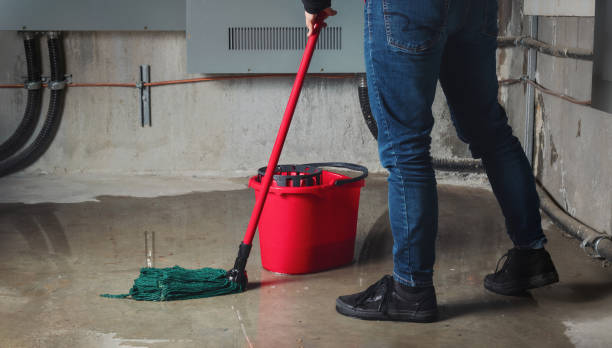 Best Flood restoration services  in Bastrop, LA