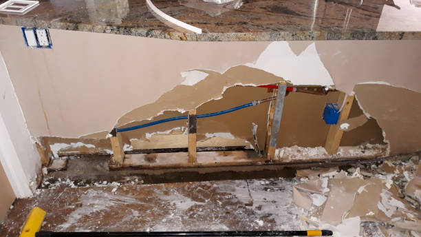 Best Flood damage cleanup  in Bastrop, LA