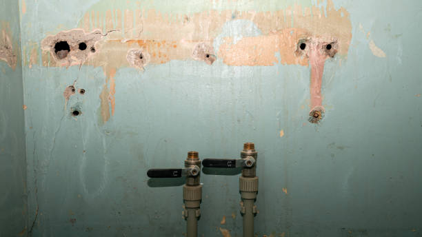 Best Water damage cleanup near me  in Bastrop, LA