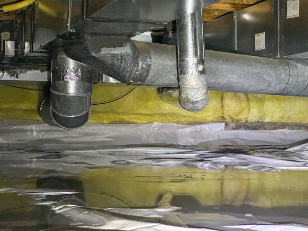 Best Water damage cleanup near me  in Bastrop, LA