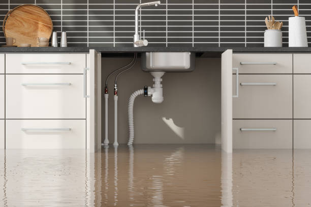 Best Sewage cleanup and water damage restoration  in Bastrop, LA