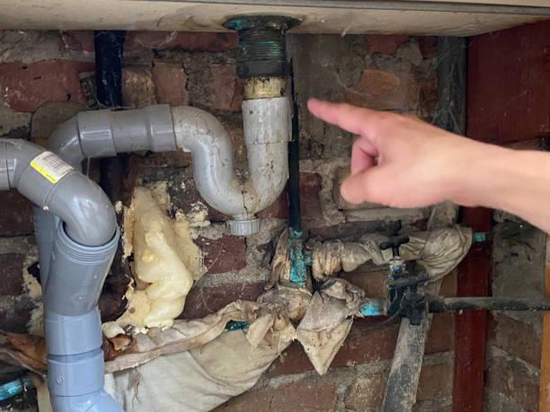 Best Local water damage restoration  in Bastrop, LA