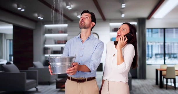 Best Fire Damage Restoration  in Bastrop, LA